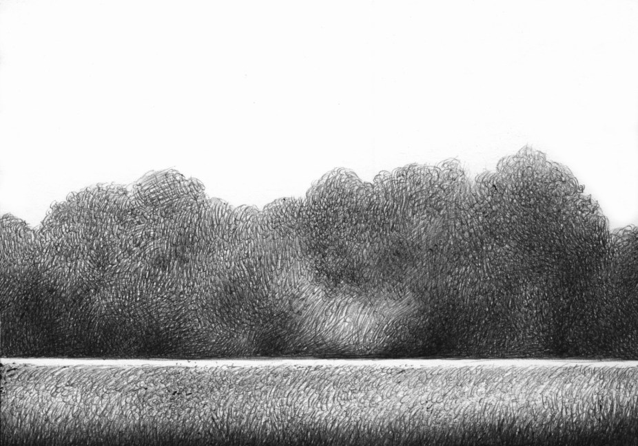 The Fake Forest BS107