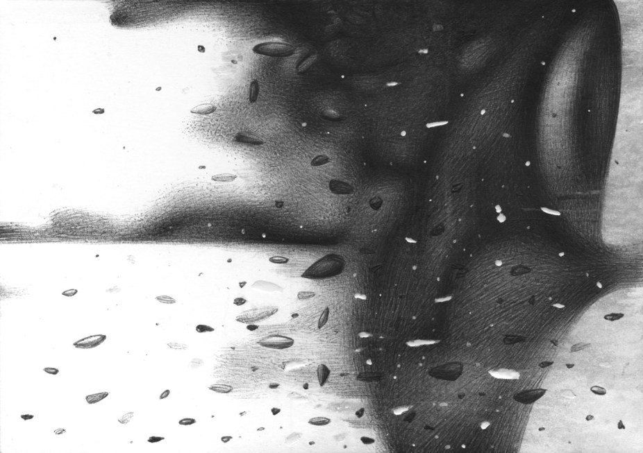 MX037...a drawing well done or badly done and everything that flies..