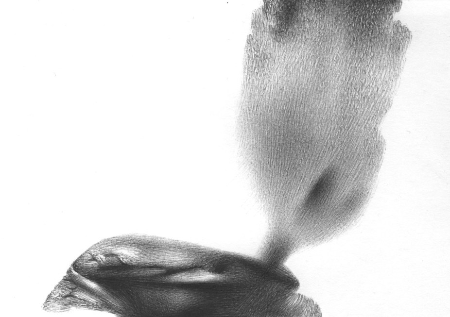 In memory of  Mick Aston BS020