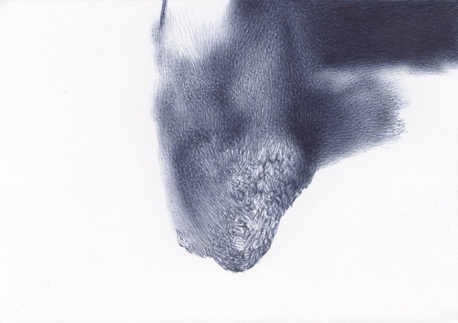 Wasp Hiding Place BS024