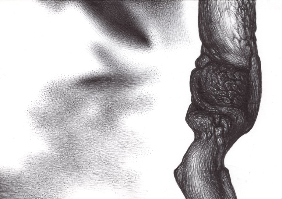 Branch of ink BS036 Homage to Laszlo Jozsef Biro's birth anniversary. 29 November 1899