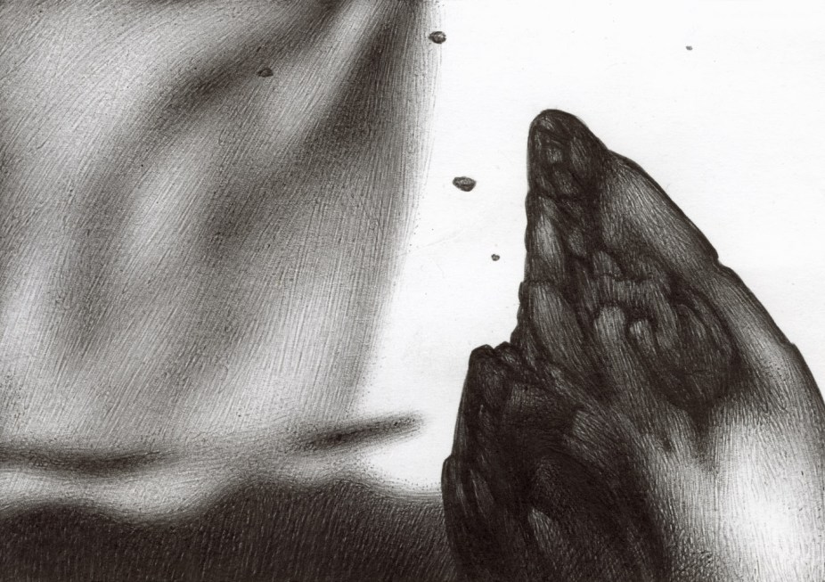 The Landscape's Foundation BS041