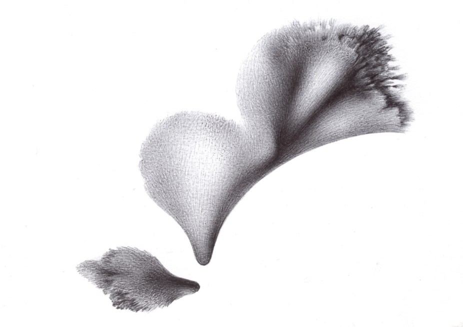 Ballpointpen Ballpoint Pen Biroscape Alberto Repetti The Wind Materializes