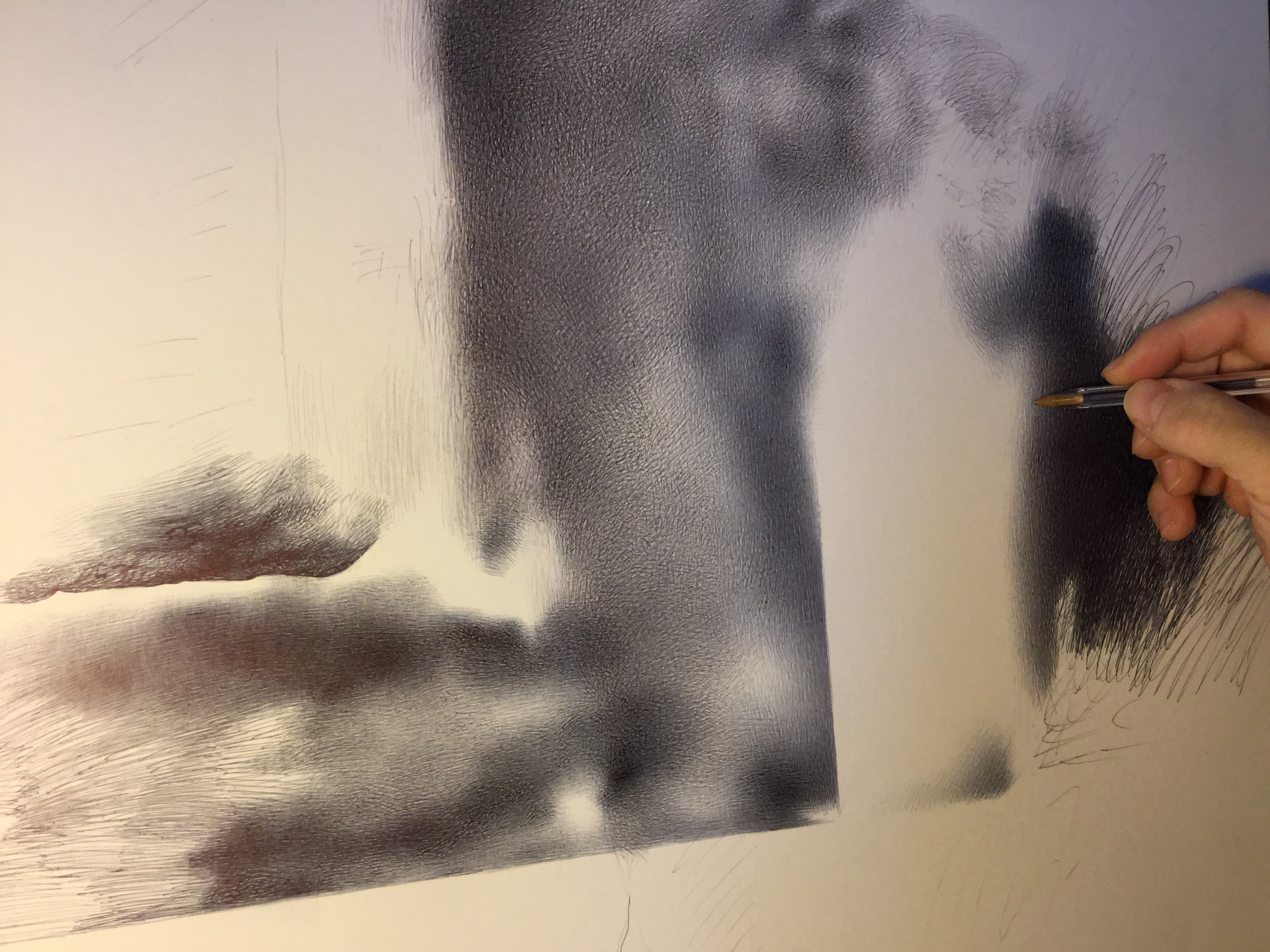 D6C81CBD-9EC7-4E03-ACCE-C02E632C383D