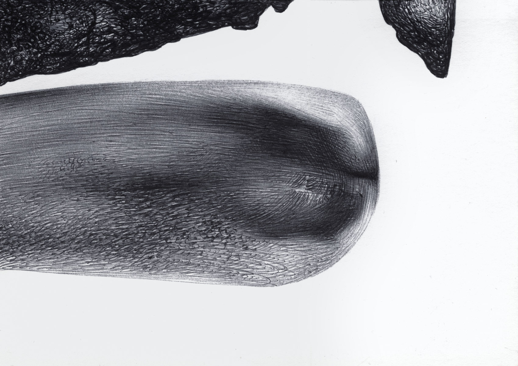 the Contained Shape BS130