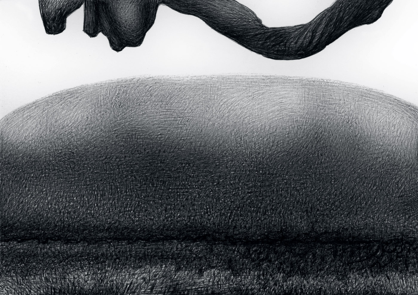 The Immense Depository BS138