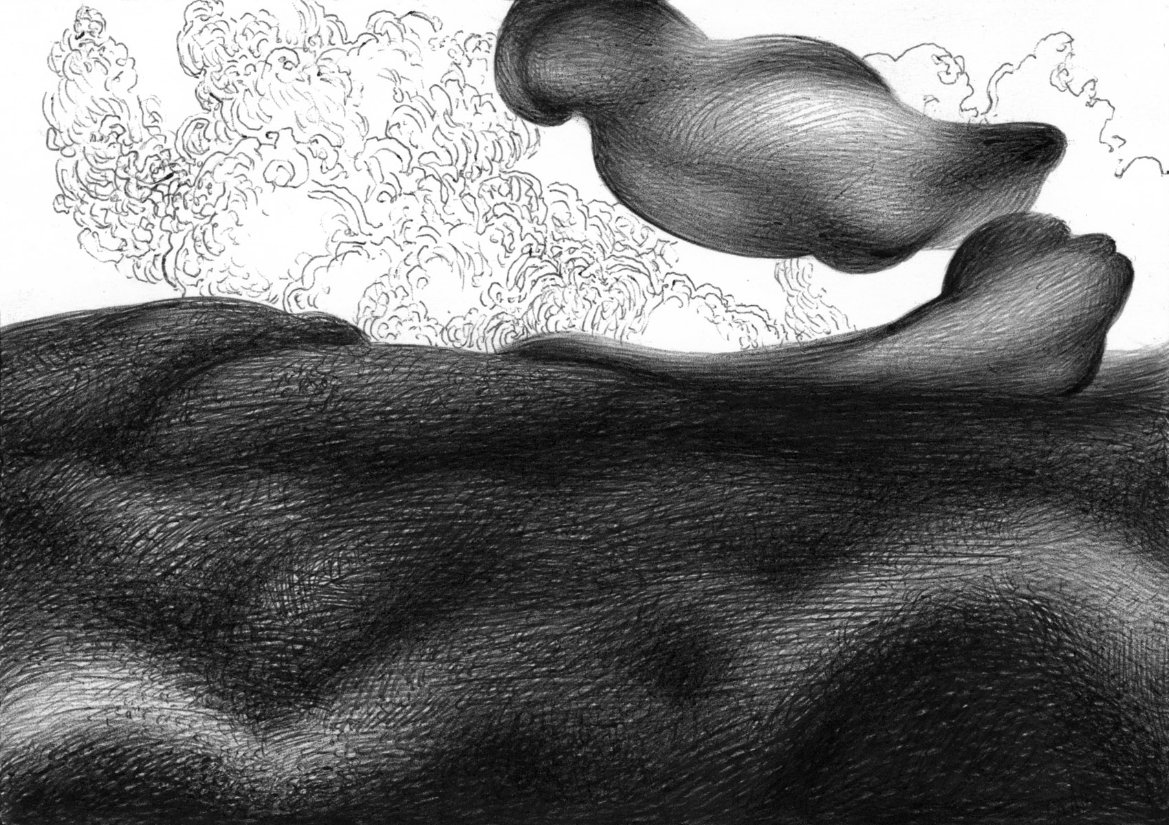 In The Shape of Landscape BS161