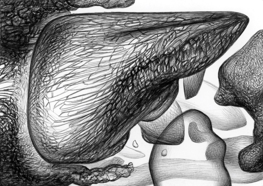 The Stone's Shelter BS163