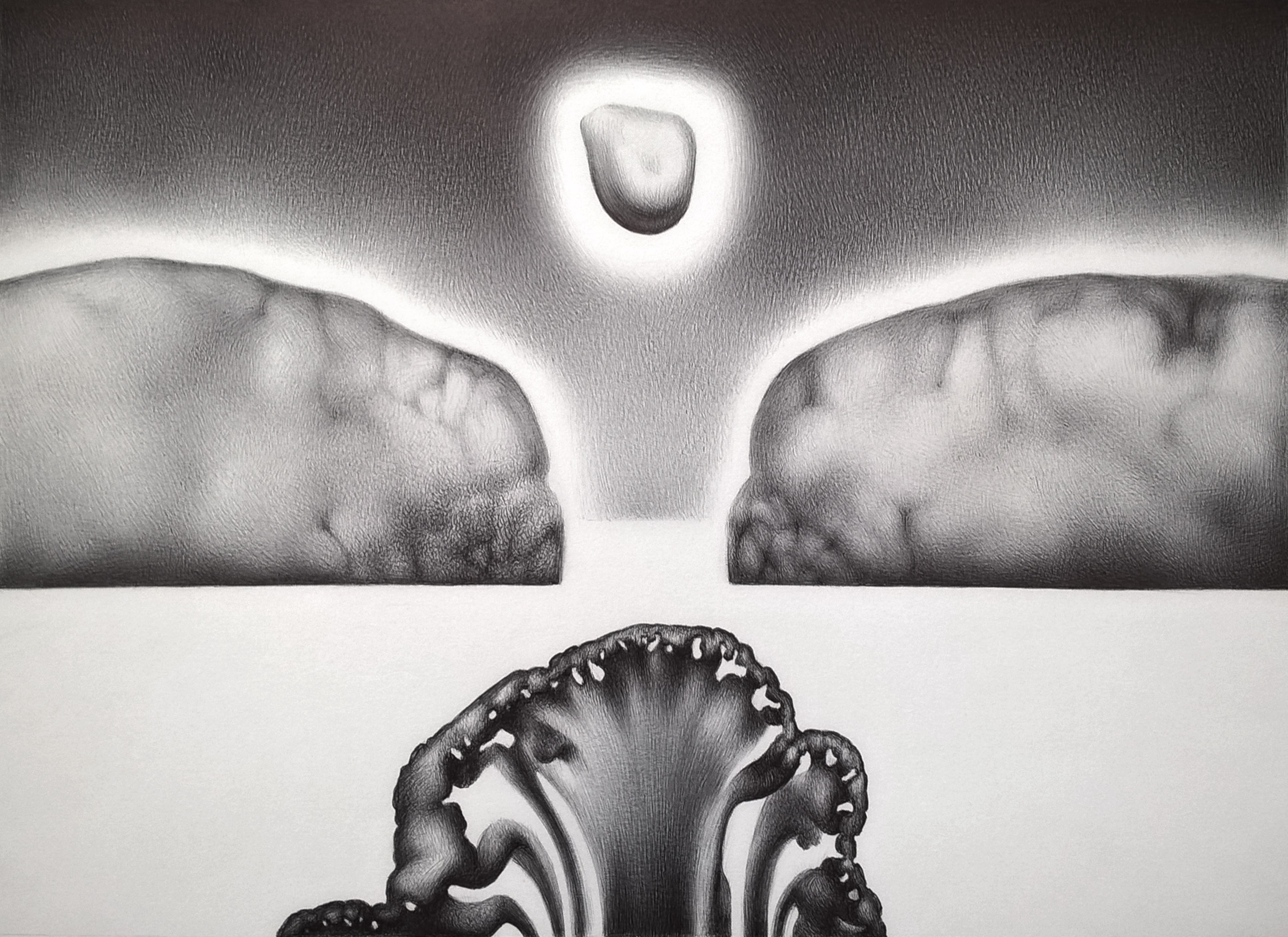 A the Opening of the Shell