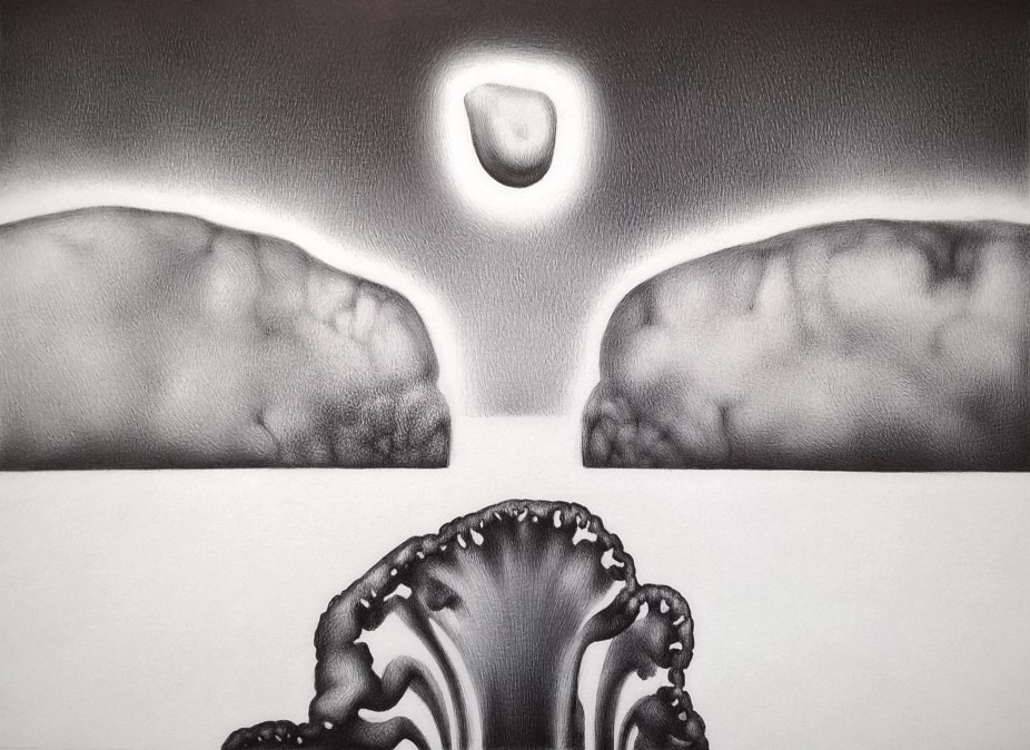 A the Opening of the Shell