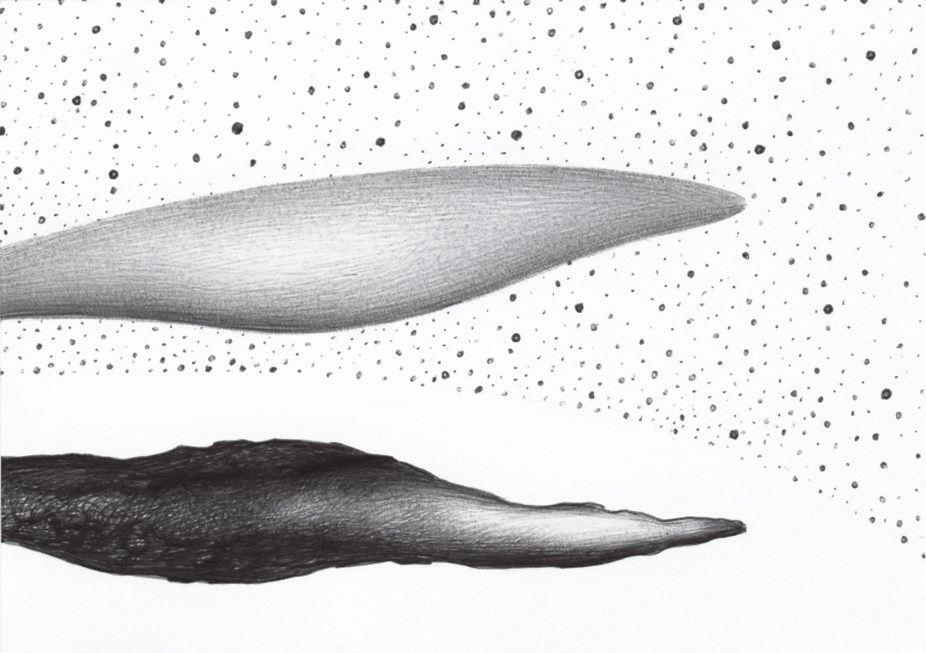 the Infinte is White BS202