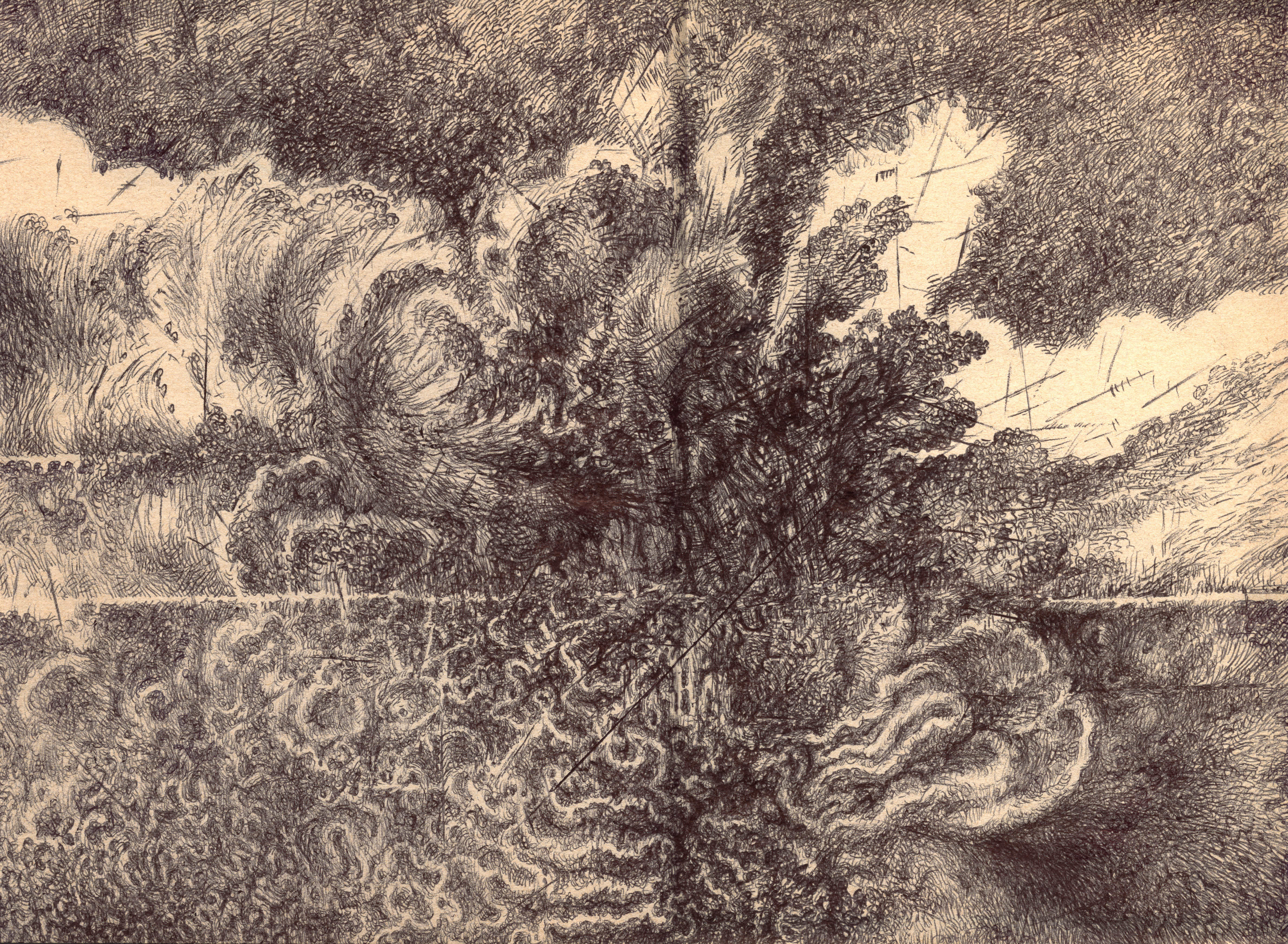 Countryside Winter Landscape