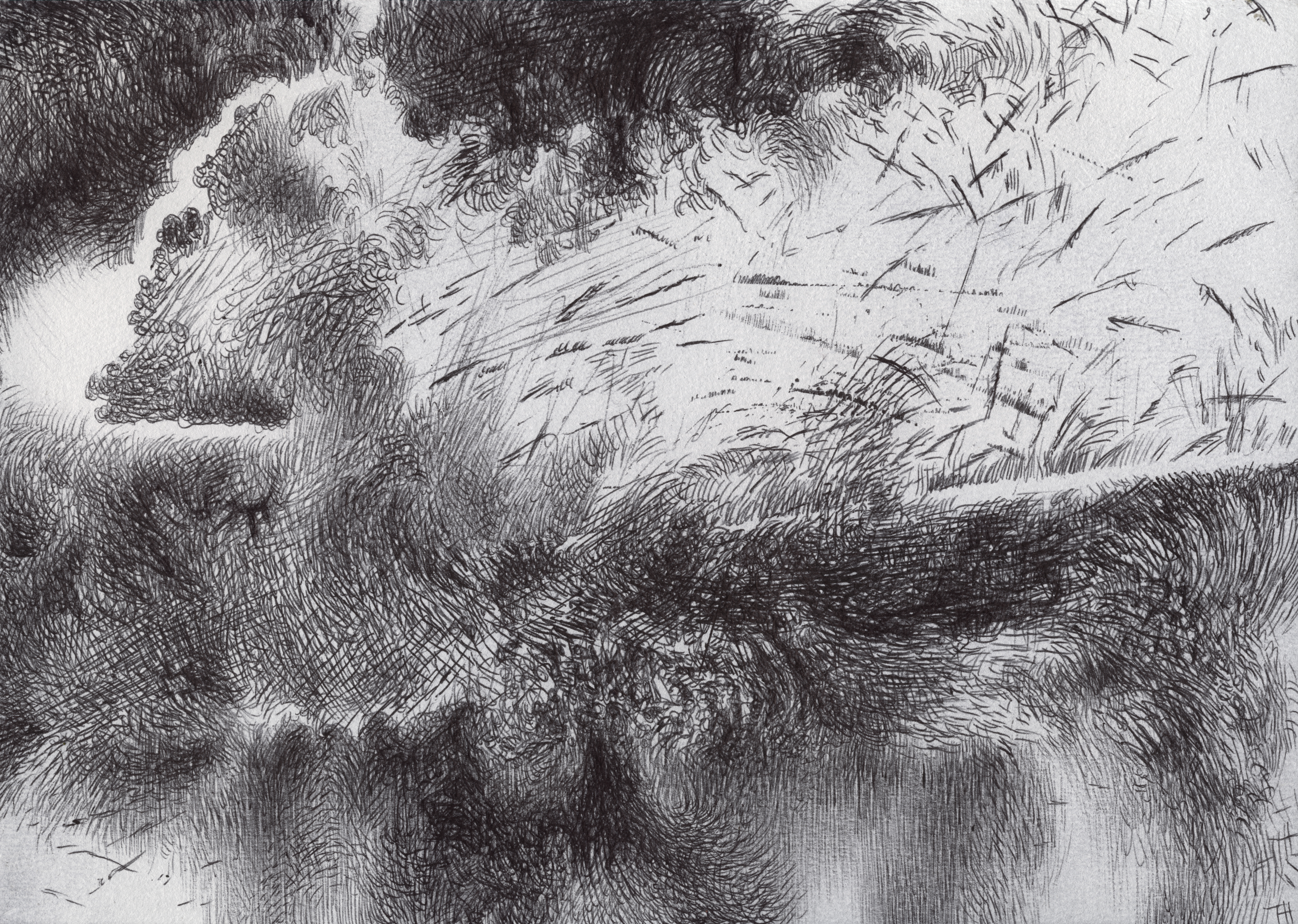 I Remember that Wind