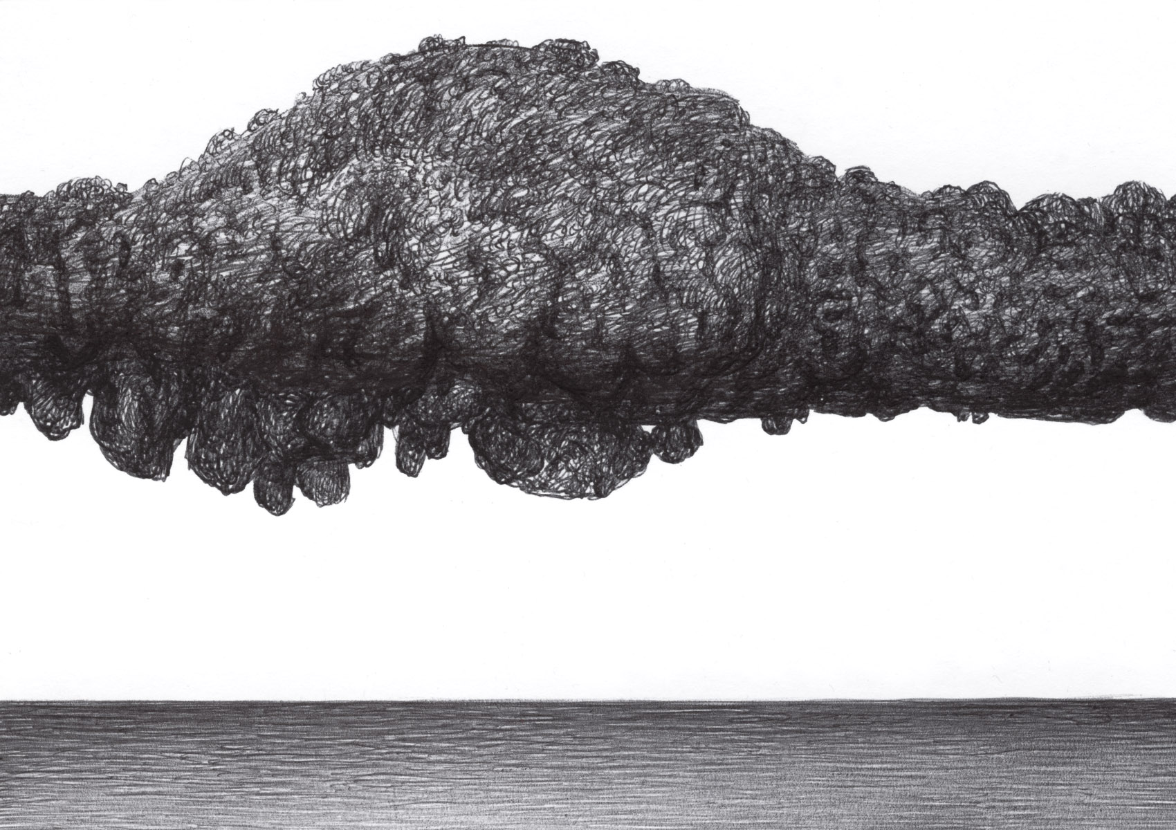 Rock Scales in White Background BS217