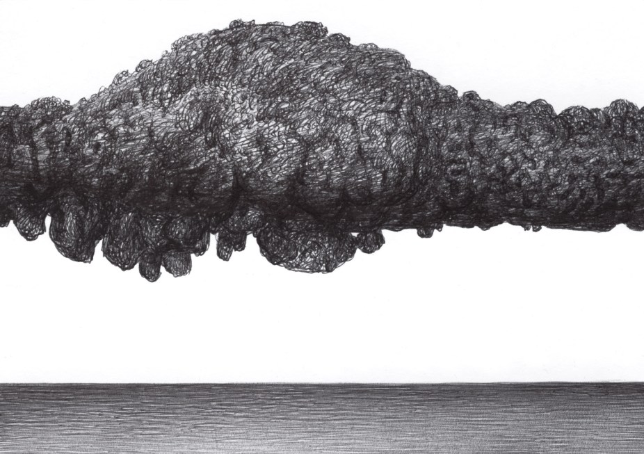 Rock Scales in White Background BS217