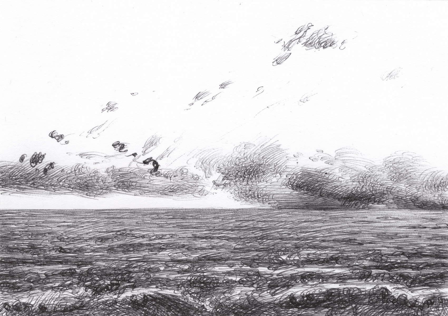 After The Storm BS251