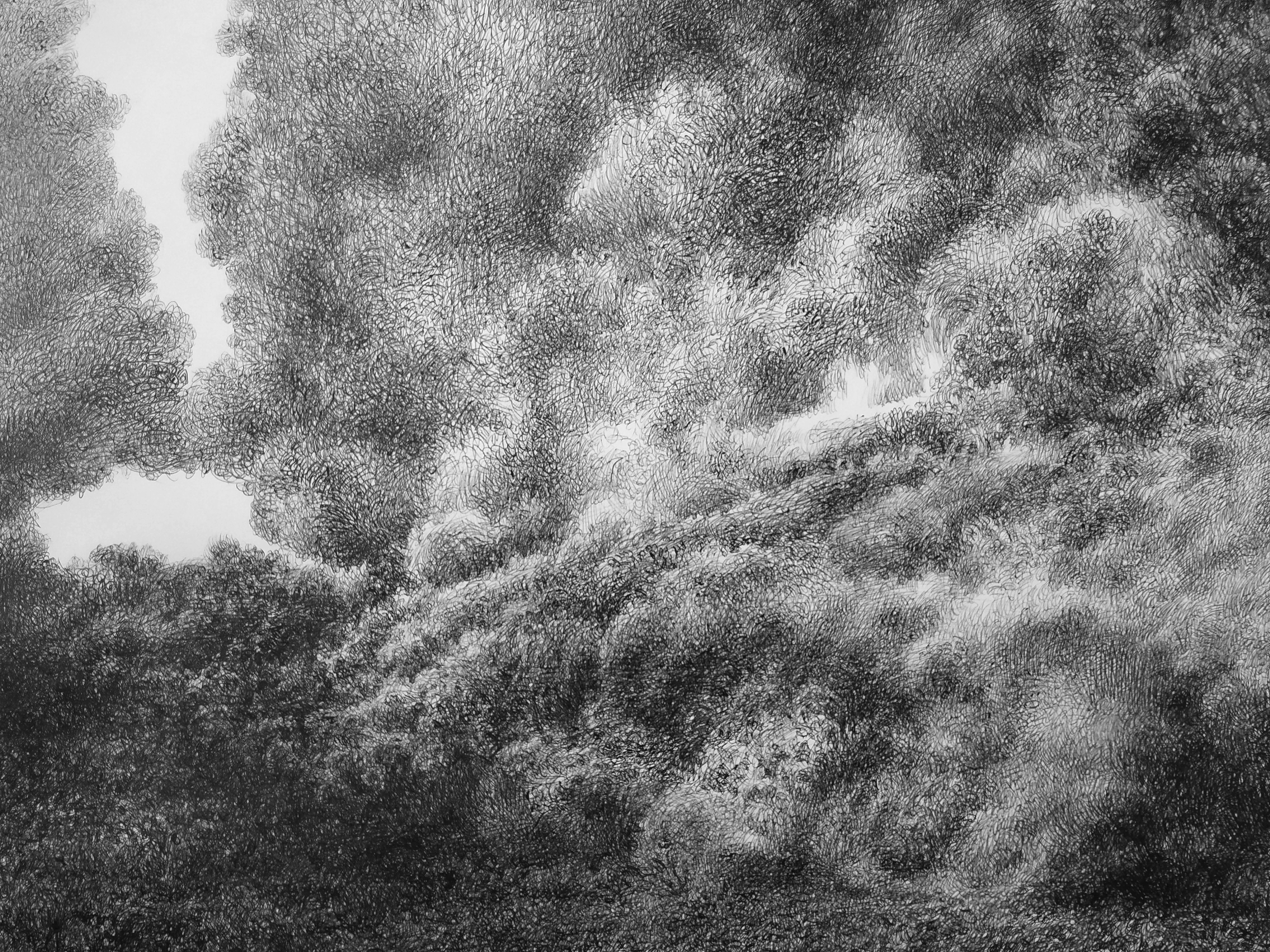 about landscape (Thought number Two) Detail 1