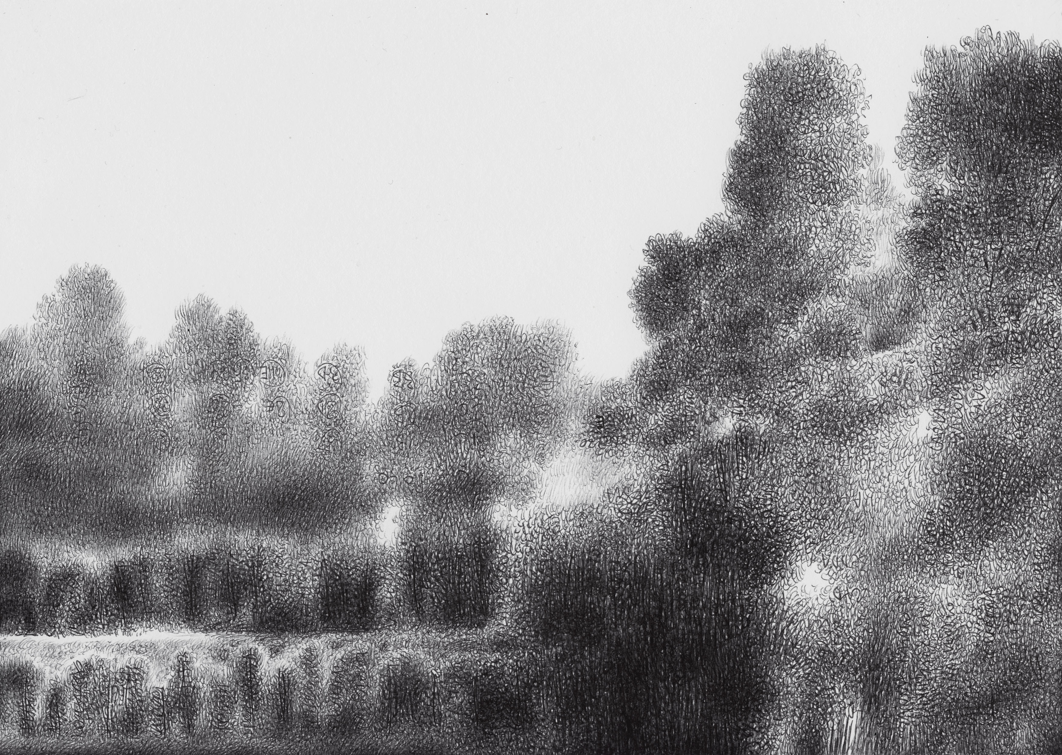 about landscape (Thought number Three)