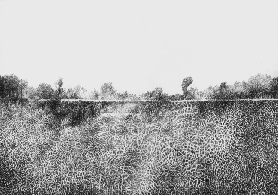 about landscape (Thought number Six)