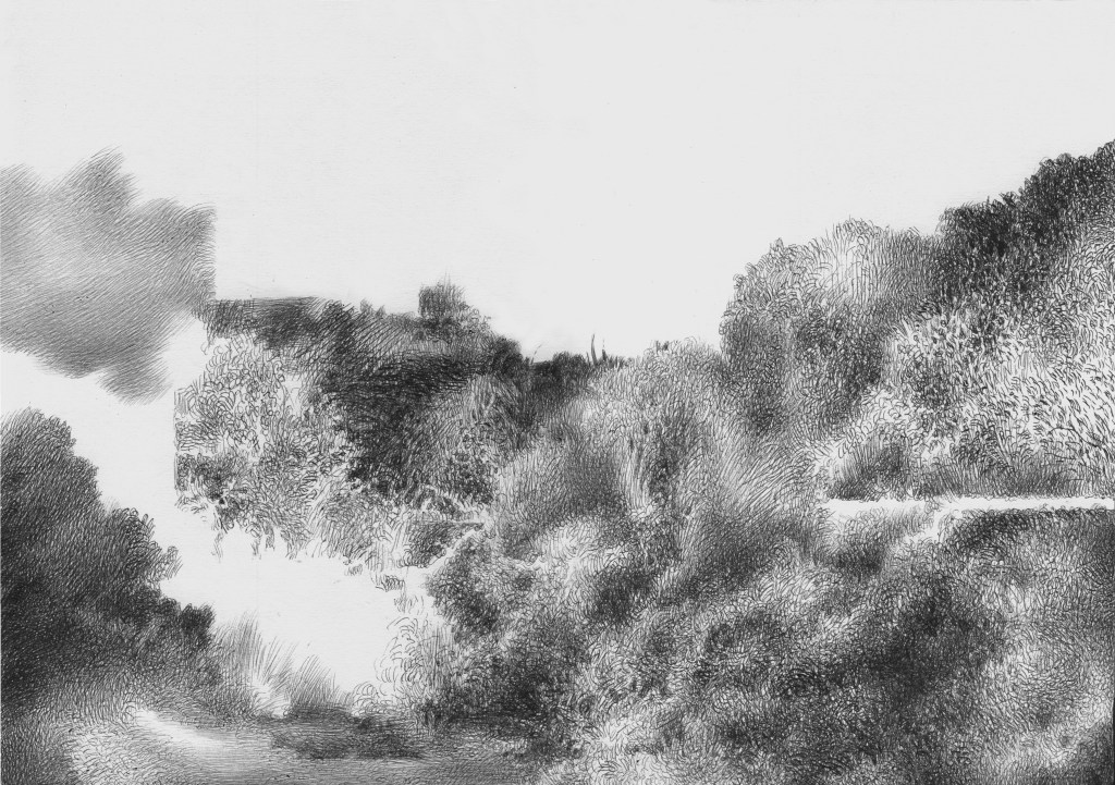 landscape draing, more bushes with white cloud, Ballpoint Pen Drawing on cardboard