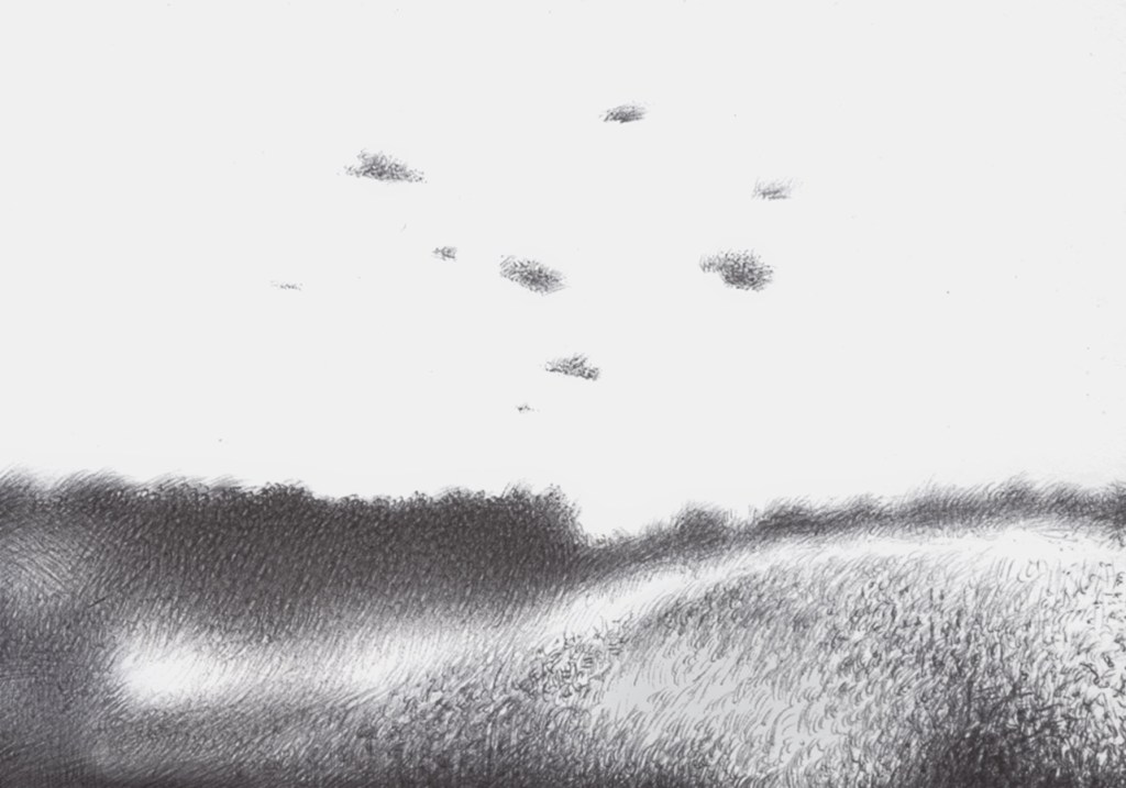 In the fornt a field not plat but with a dube and little grass in the sky only few pieces of cross hatcjong like the little pieces of paper grey