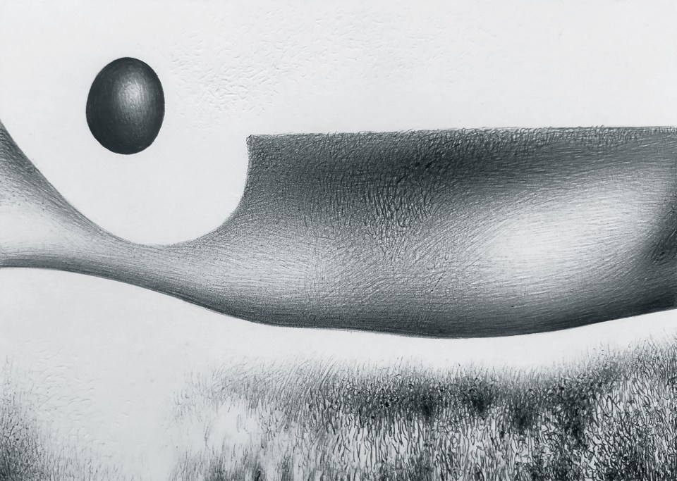 Un campo d'erba con una forma sopra di esso non ben identificata che ha un corpo grande e che si restringe alla sinistra e in mezzo a questo restringimento sollevato in aria c'è un uovo nero