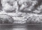 Lake view with cloud and trees. Ballpoint Pen on cardboard black and white 14,8 x 10,5 cm.