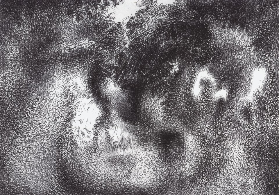 ballpoint pen Cross-Hatching a path in the middle of the forest