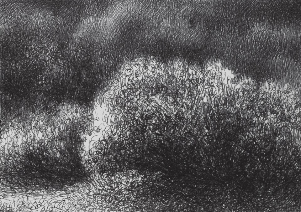 A bush and the busches behind in cross hatching ballpoint pen drawing