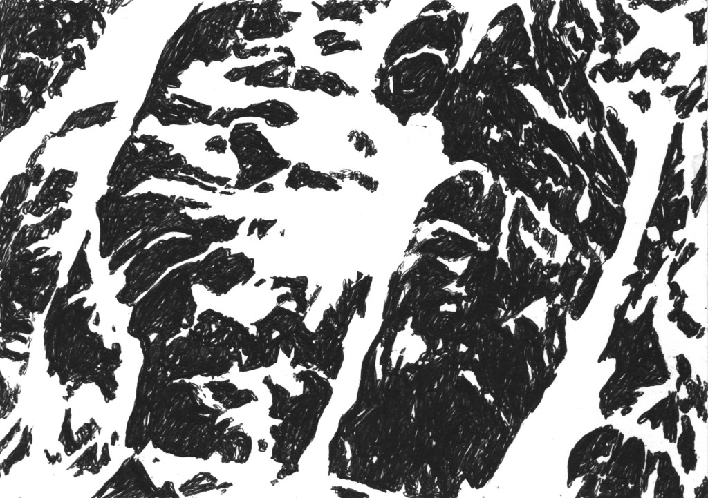 Black and withe drawing representing the ice betwen the rocks