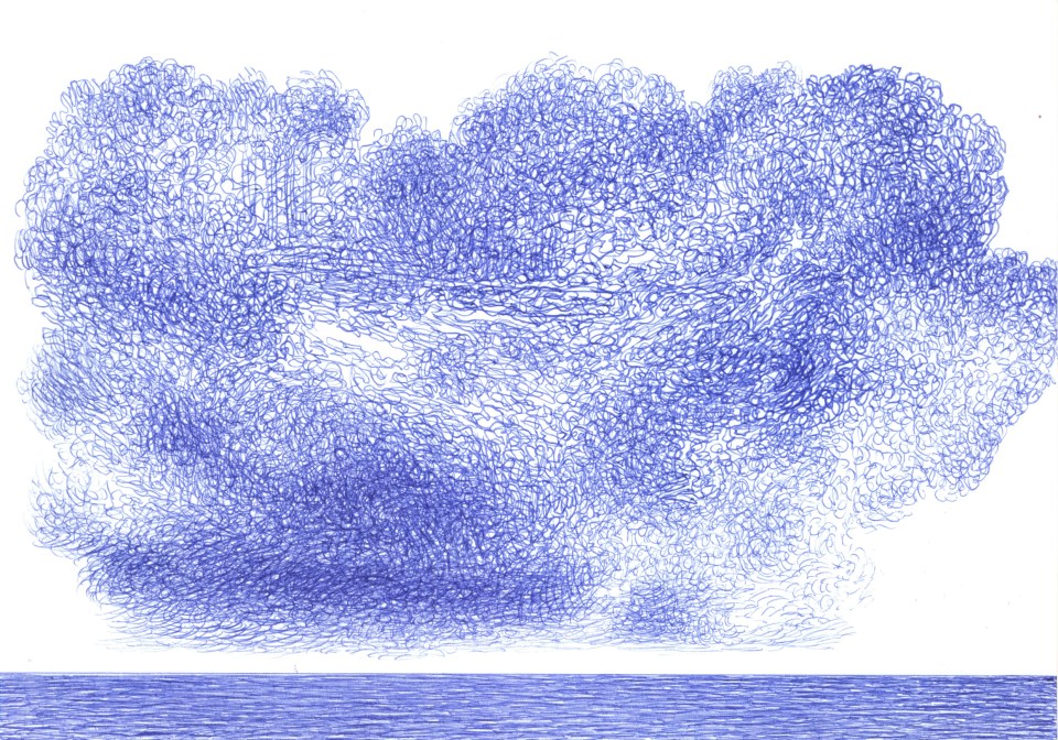 The Forest in the Sky